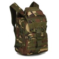 Molle 40ltr Backpack